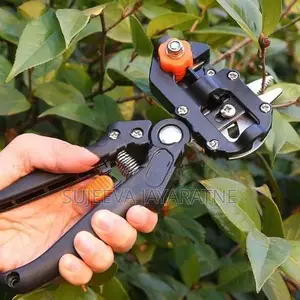 Grafting Tool