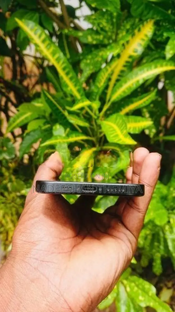 Apple iPhone 15 (Used)