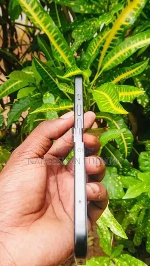 Apple iPhone 15 (Used)