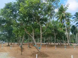 Commercial Property for Sale in Mellawagedara P5
