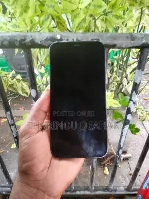 Apple iPhone 12 Pro (Used)