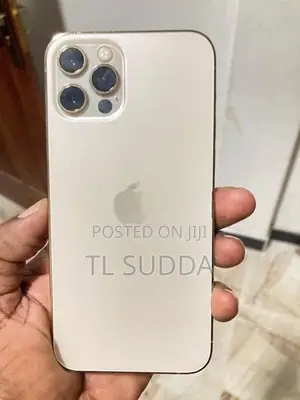 Apple iPhone 12 Pro (Used)