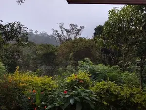 Land With House For Sale Keppetipola