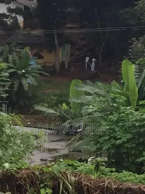 පැල්මඩුල්ල පාතකඩ ජාතික පාසල අසල ඉඩමක් විකිණීම