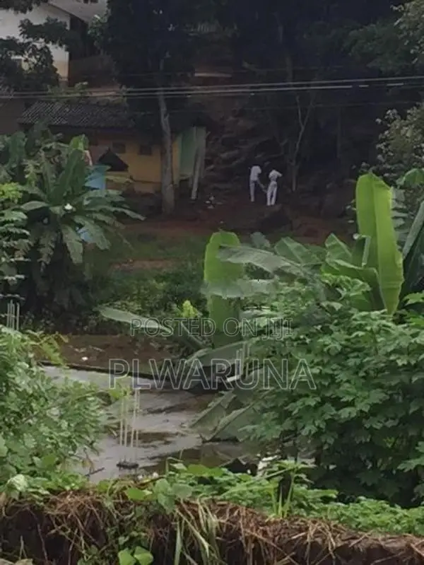 පැල්මඩුල්ල පාතකඩ ජාතික පාසල අසල ඉඩමක් විකිණීම