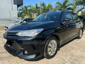 Toyota Axio G Grade 2017