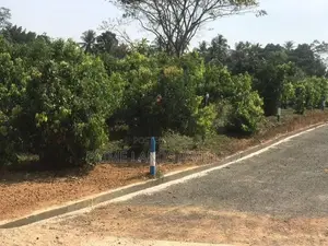 කලුතර නගරයට විනාඩි 5යි බිම් කොටස්