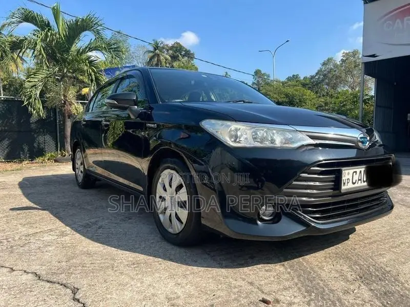 Toyota Axio G Grade 2017
