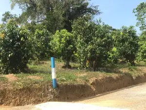 කලුතර නගරයට විනාඩි 5යි බිම් කොටස්