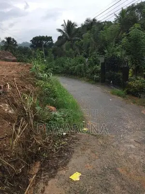 පැල්මඩුල්ල පාතකඩ ජාතික පාසල අසල ඉඩමක් විකිණීම