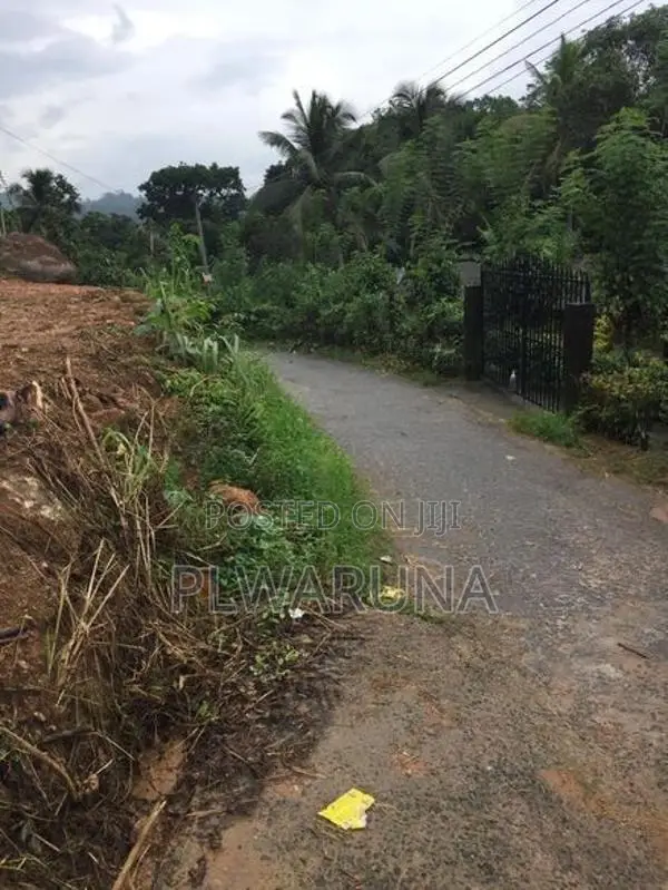 පැල්මඩුල්ල පාතකඩ ජාතික පාසල අසල ඉඩමක් විකිණීම