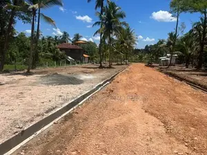 Land for Sale Narammala