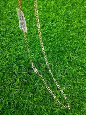 Silver Chain