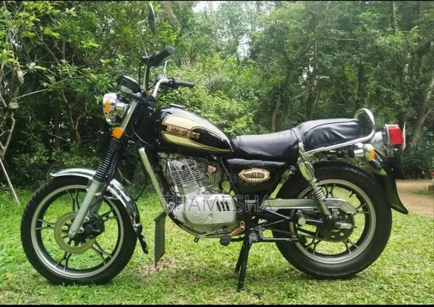 Suzuki GN 125 On Light Model 2007