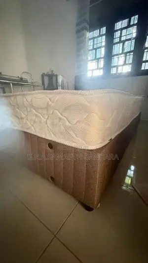 Damro Divan Bed (72x46) with Singer Double Layer Spring Mattress