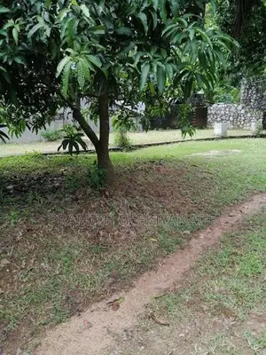 Valuable Residential Land for Sale in Brandiyawatta
