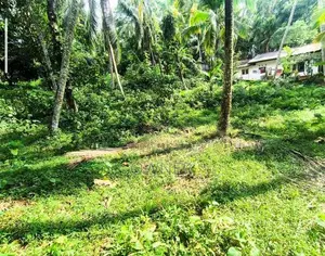 Piliyandala Madapatha Land for Sale