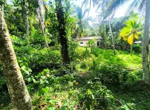 Piliyandala Madapatha Land for Sale