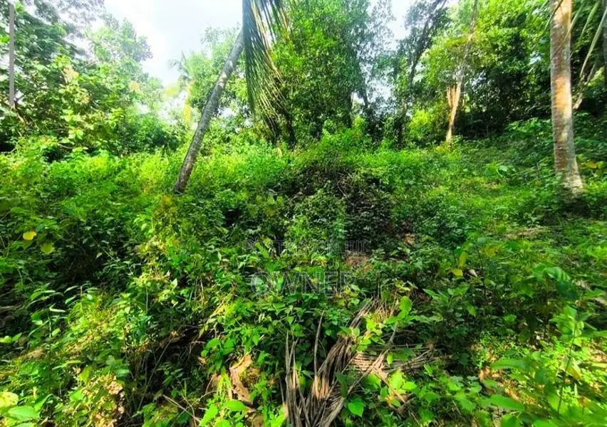 Piliyandala Madapatha Land for Sale