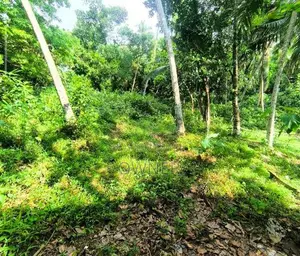Piliyandala Madapatha Land for Sale