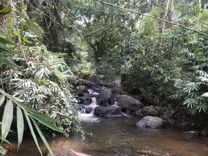 Agricultural Land for Sale – Kalawana