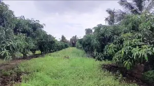 ඉඩමක් විකිණීමට, මිහින්තලය, රඹෑවට ආසන්නව