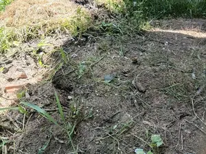 Land for Sale Batticaloa