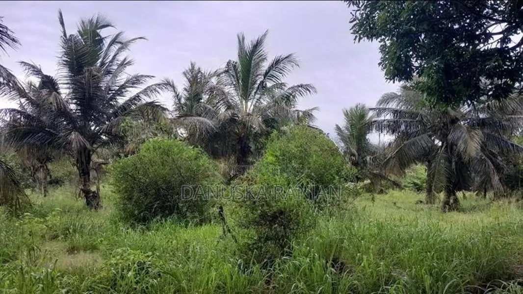 ඉඩමක් විකිණීමට, මිහින්තලය, රඹෑවට ආසන්නව