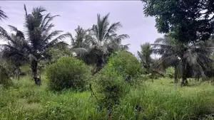 ඉඩමක් විකිණීමට, මිහින්තලය, රඹෑවට ආසන්නව