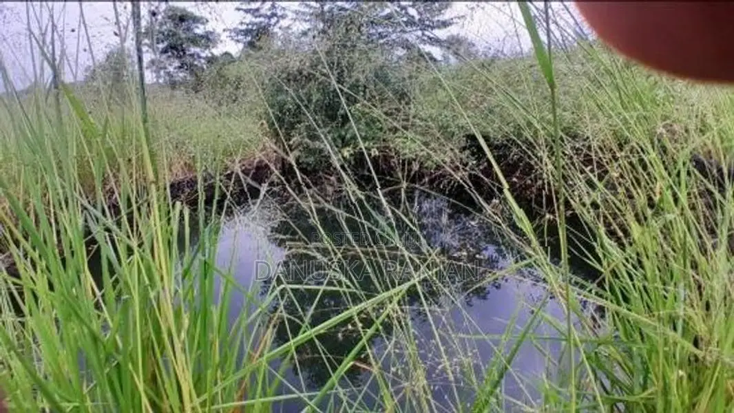ඉඩමක් විකිණීමට, මිහින්තලය, රඹෑවට ආසන්නව