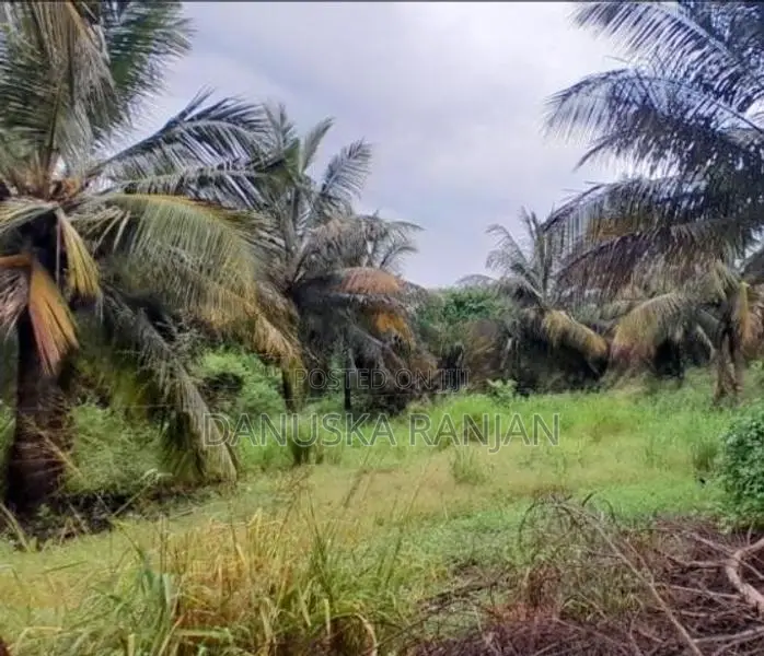 ඉඩමක් විකිණීමට, මිහින්තලය, රඹෑවට ආසන්නව