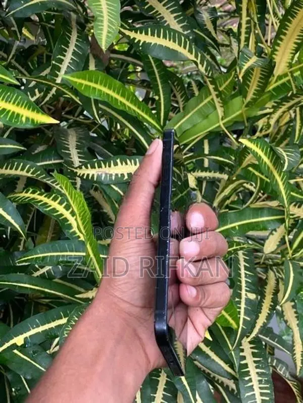 Apple iPhone 15 Plus (Used)