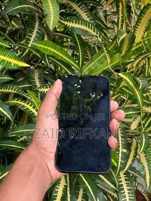 Apple iPhone 15 Plus (Used)