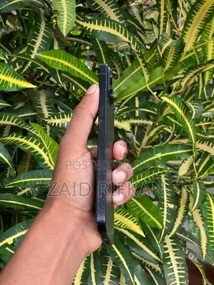 Apple iPhone 15 Plus (Used)
