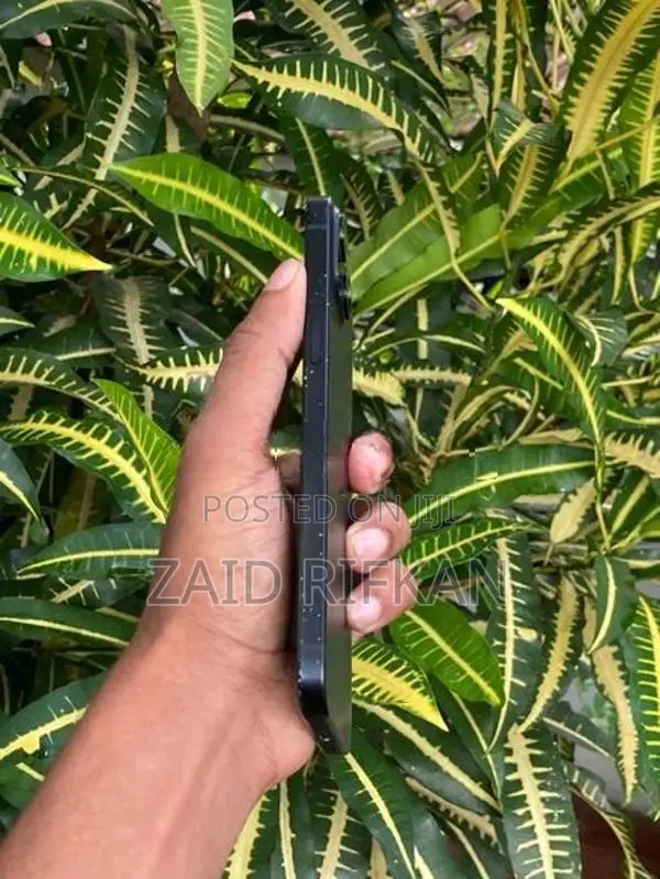 Apple iPhone 15 Plus (Used)