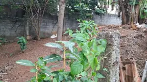 Heerassagala Land for Sale - Prime Location