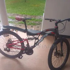 Lumstar Bicycle