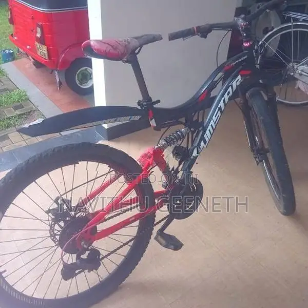 Lumstar Bicycle