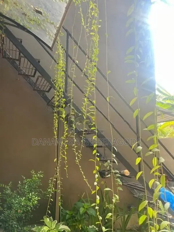 Iron Staircase