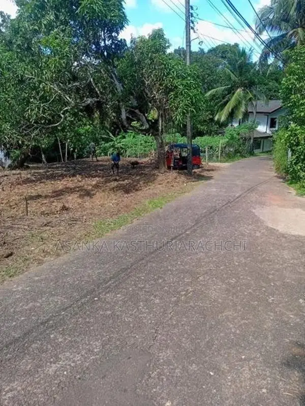 කලගෙඩිහේන අගනා ඉඩමක් විකිණීමට
