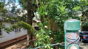 Land for Sale Divulapitiya Vihara Mawatha Raththanapitiya