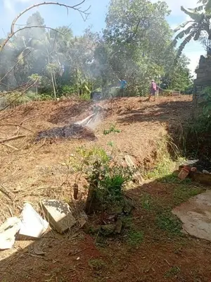කලගෙඩිහේන අගනා ඉඩමක් විකිණීමට