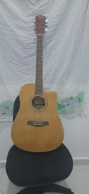 Guitar