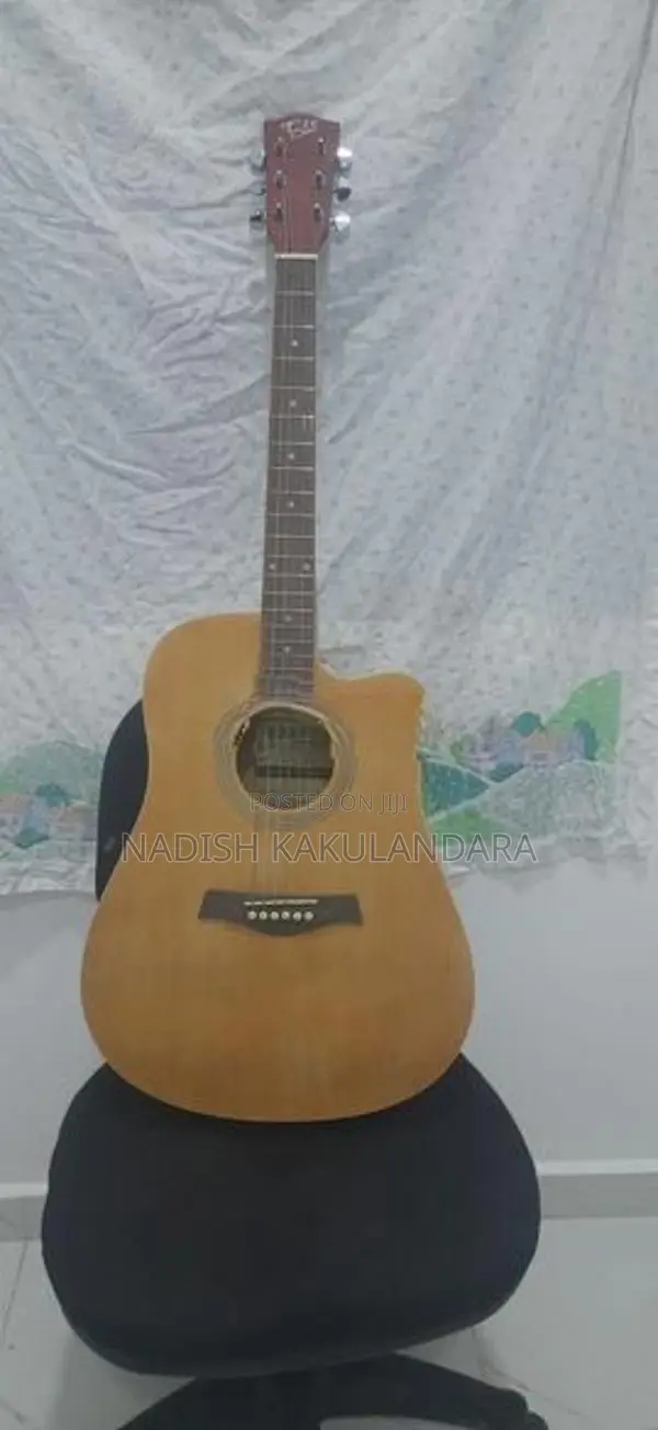 Guitar