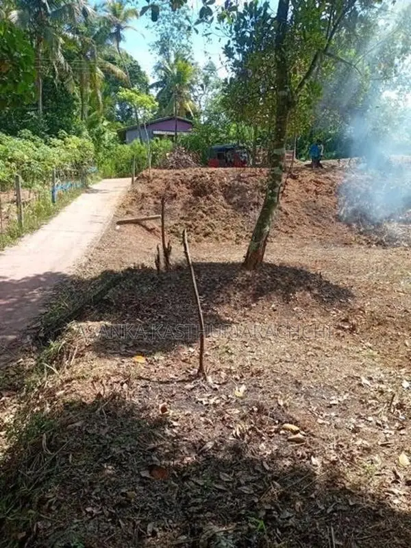 කලගෙඩිහේන අගනා ඉඩමක් විකිණීමට