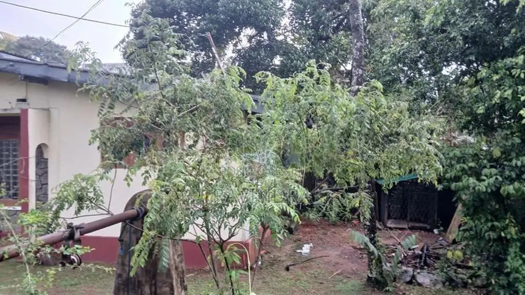 Land for Sale in Galakubura Road Neelammahara Katuwawala Boralesgamuwa
