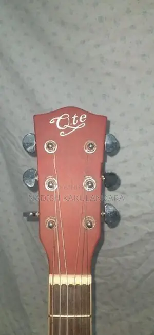Guitar