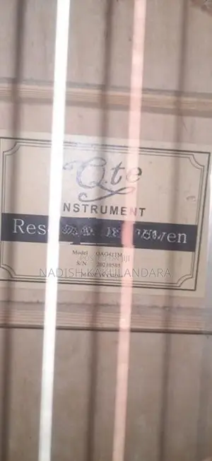 Guitar