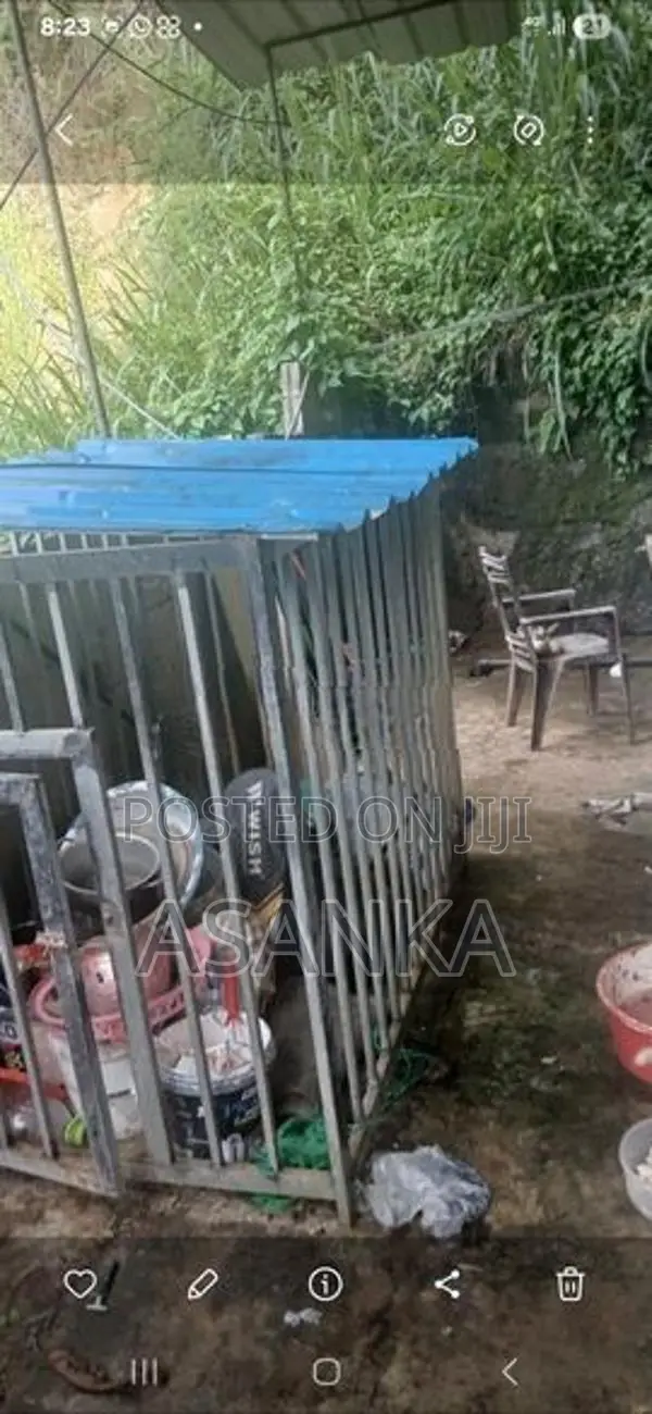 Dog Cage