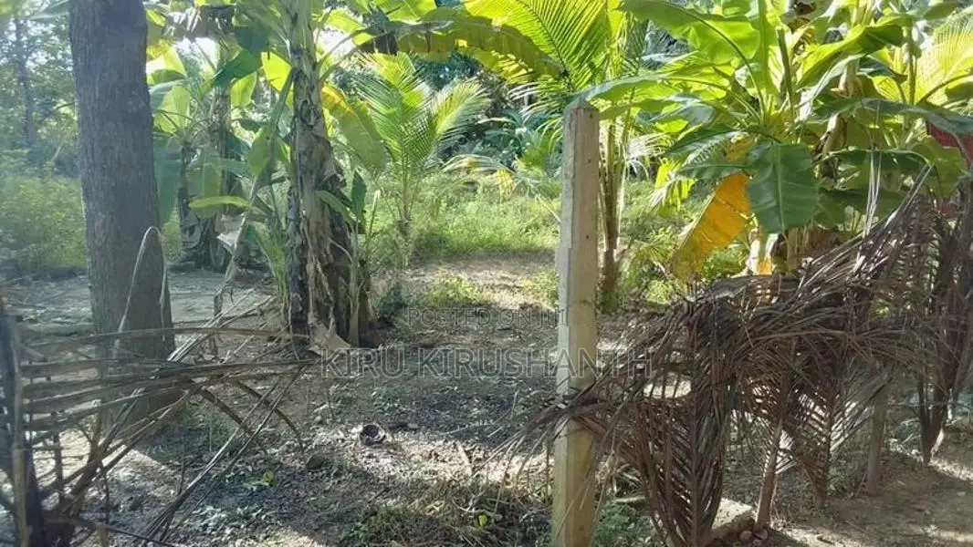 Land for Sale Kilinochchi